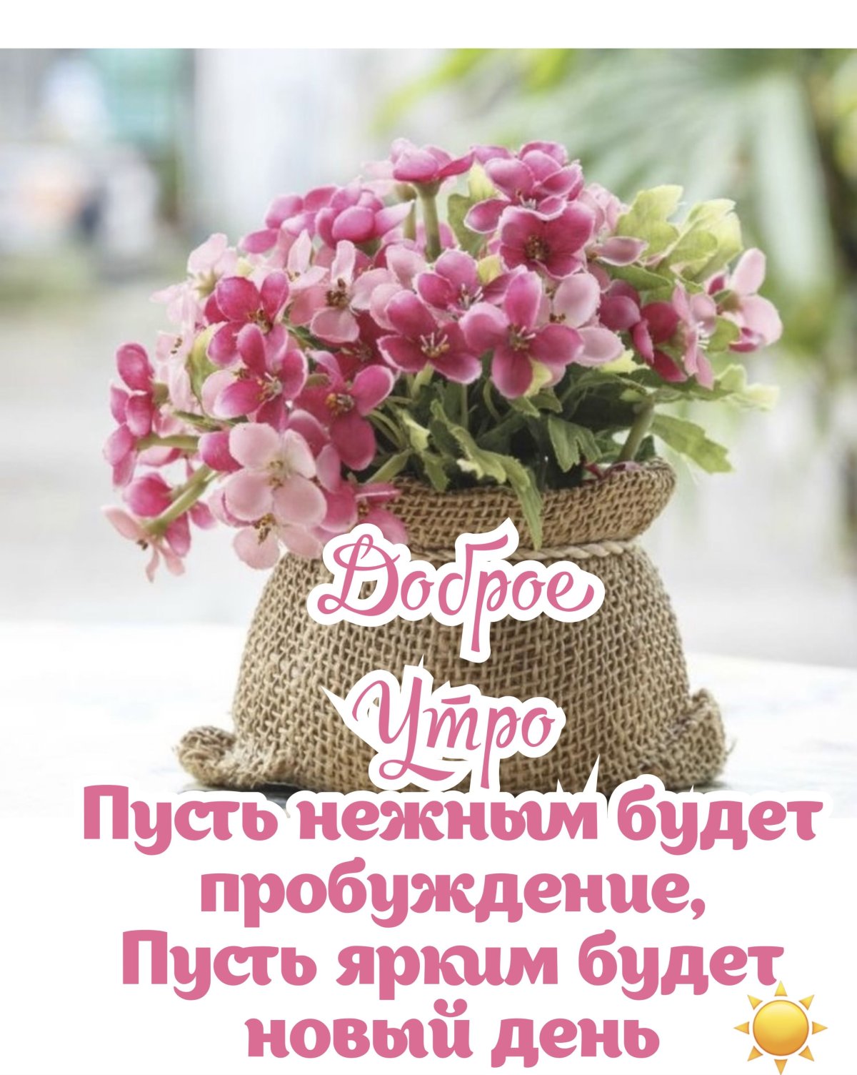 С добрым утром картинки нежные прикольные