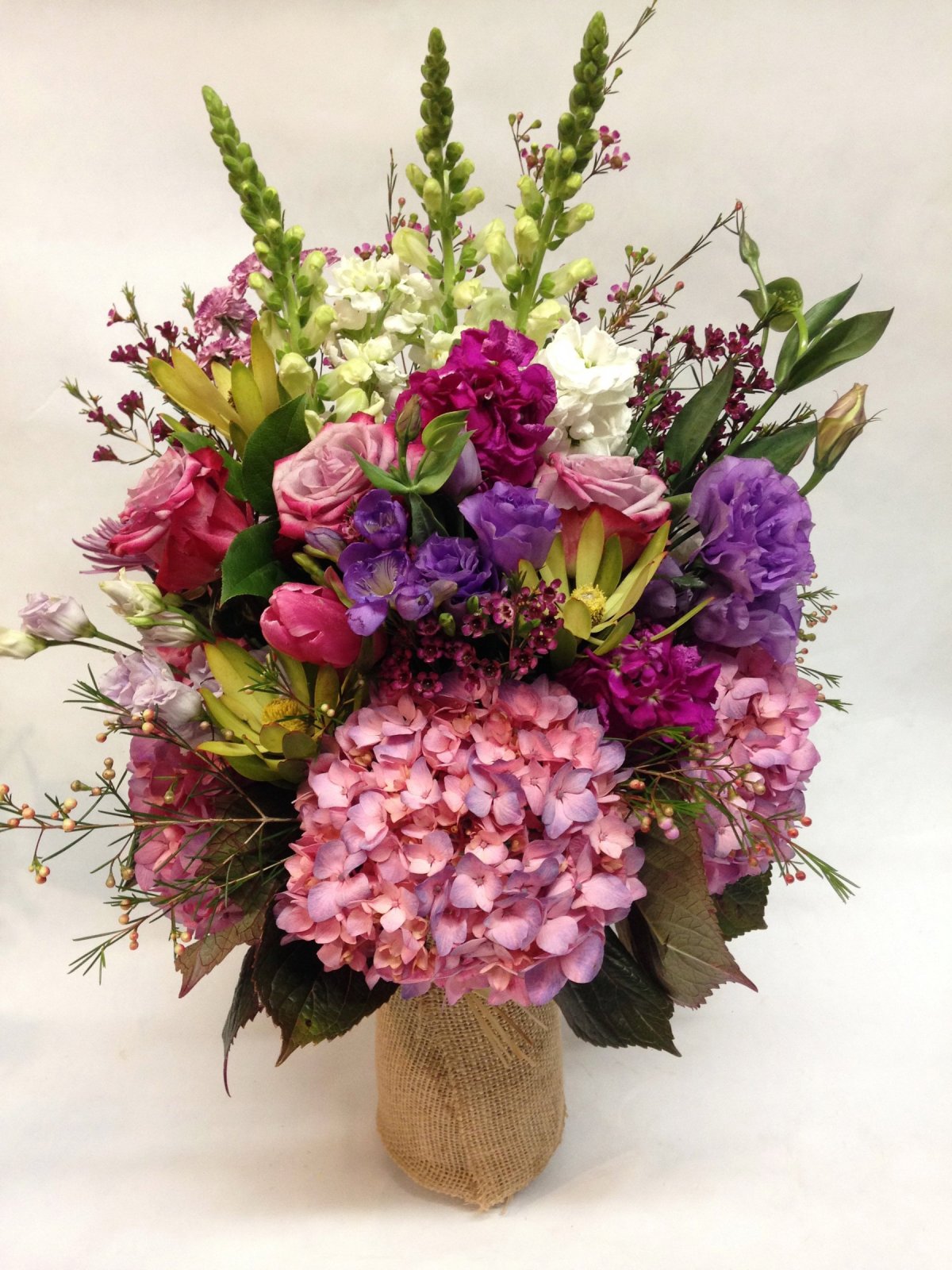 Гортензия Матиола Ирис