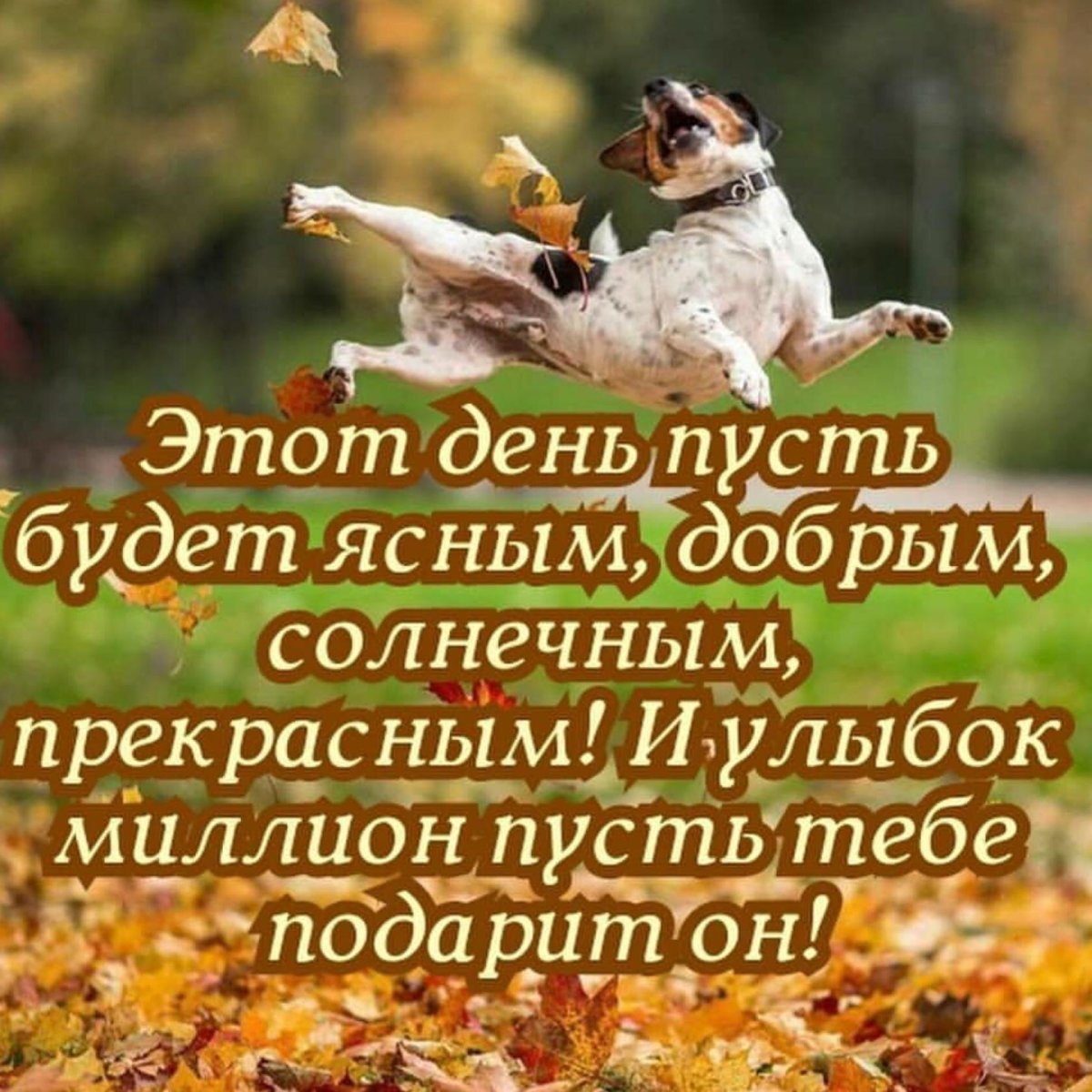 С добрым зимним субботним утром