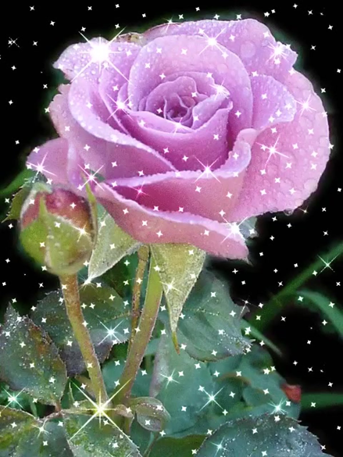 Цветы с блестками