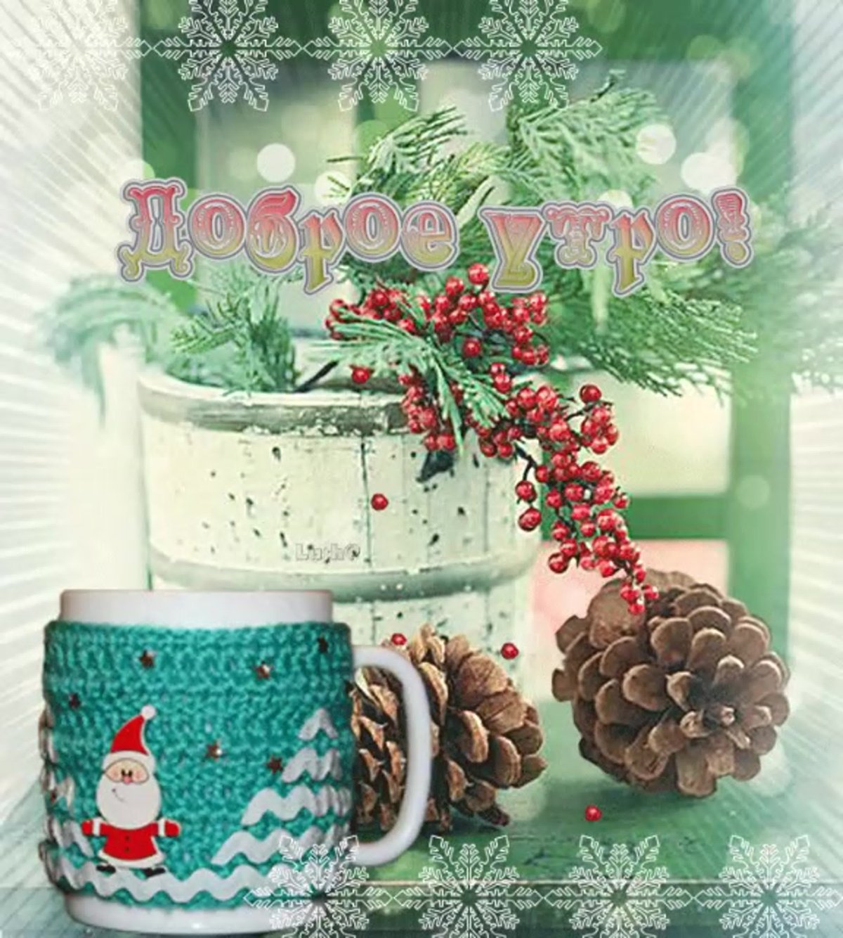 Дождь за окном и цветы