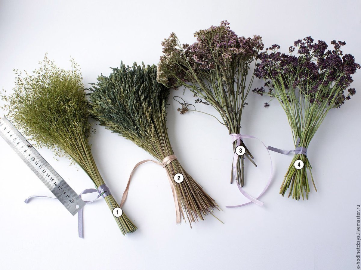 Техническая зелень для букетов