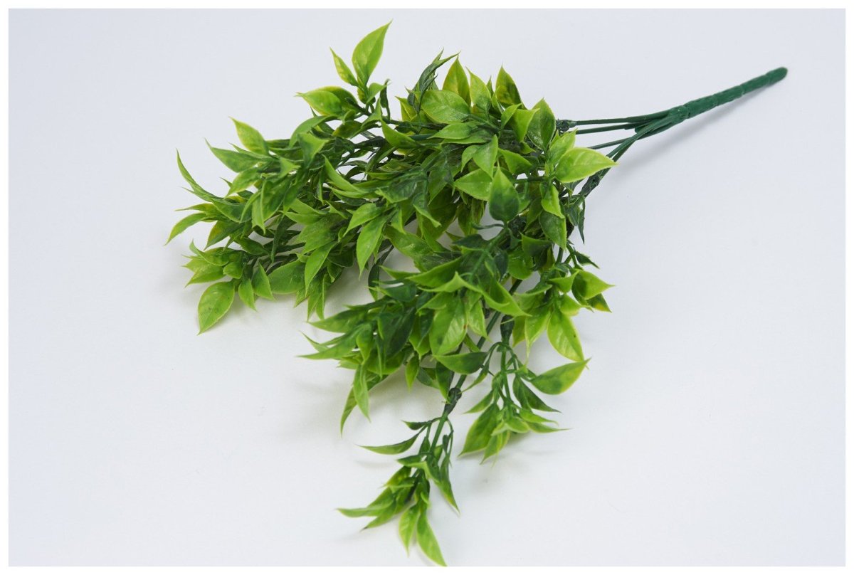 Эвкалипт и Писташ