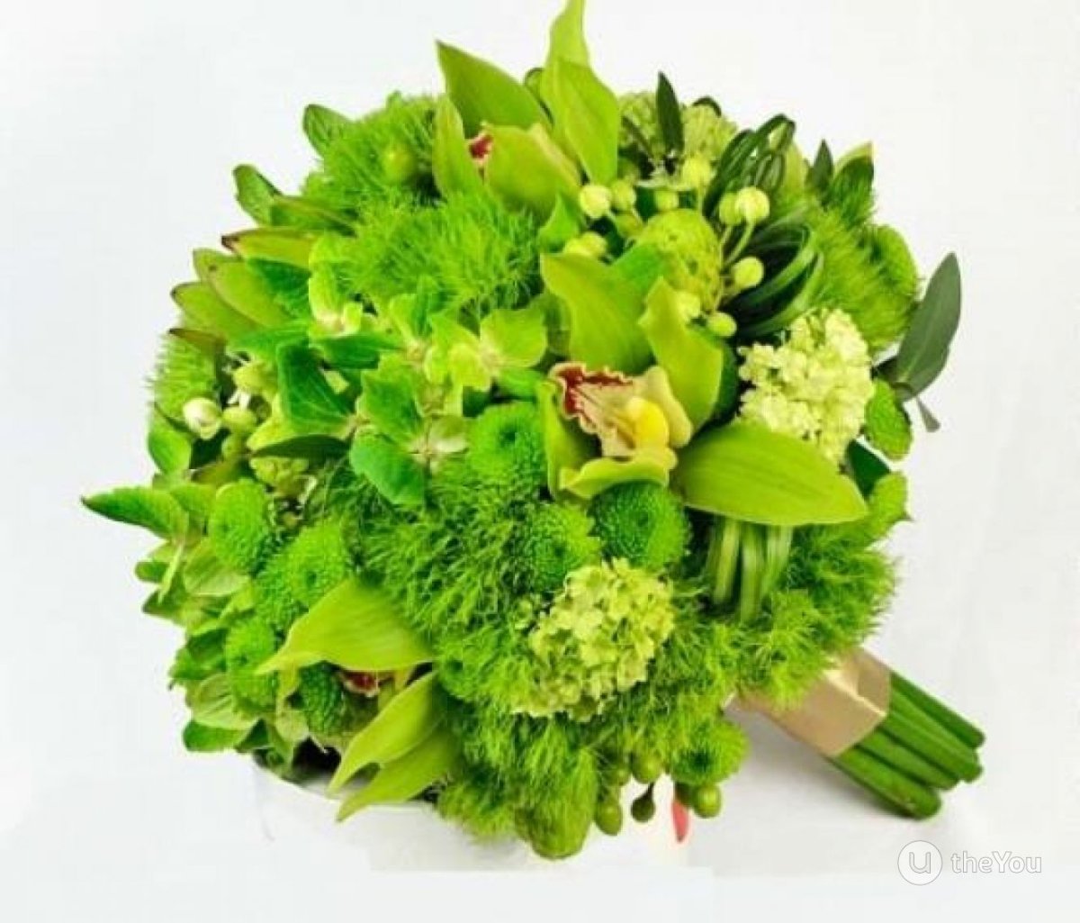 Рускус Салал