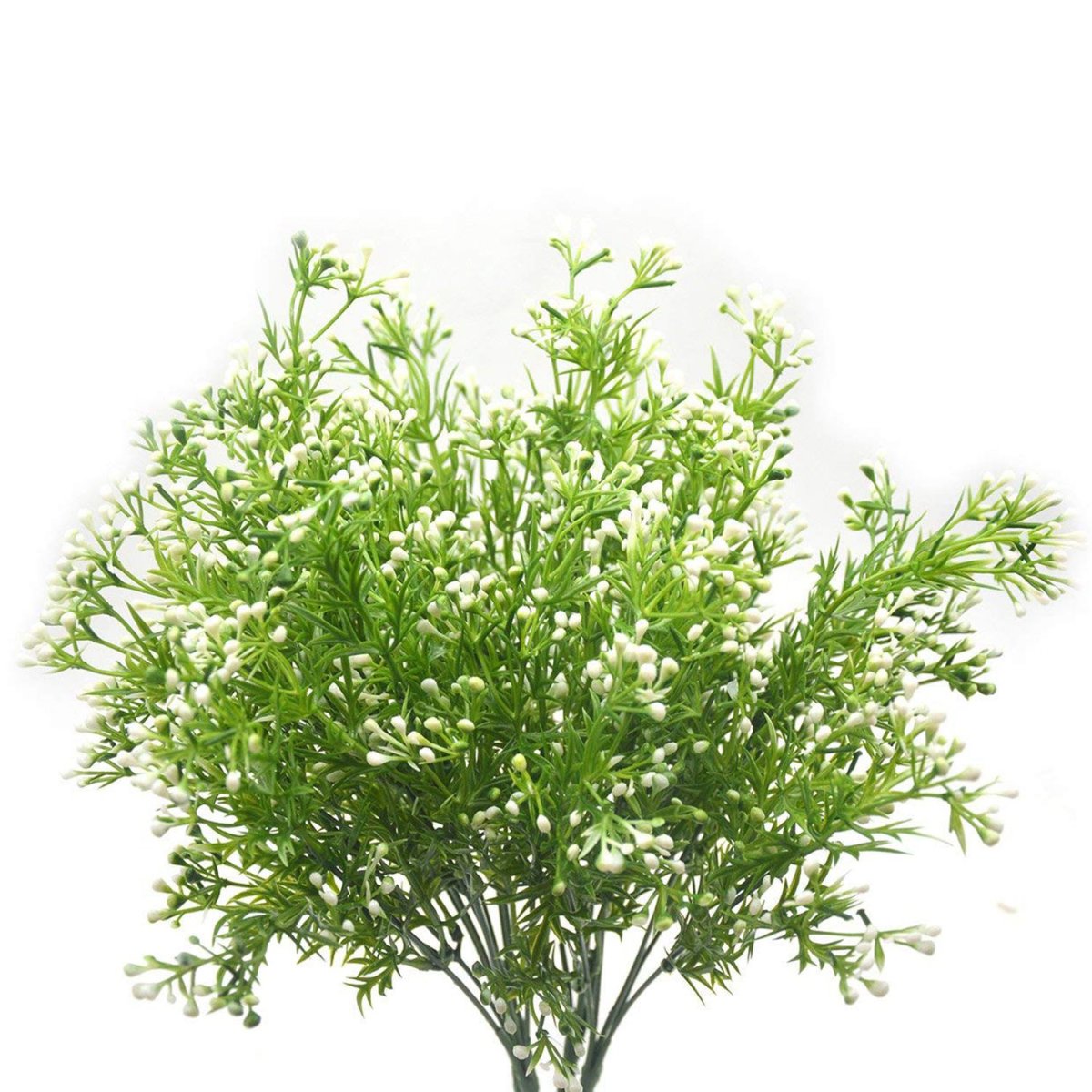 Рускус зелень для букетов