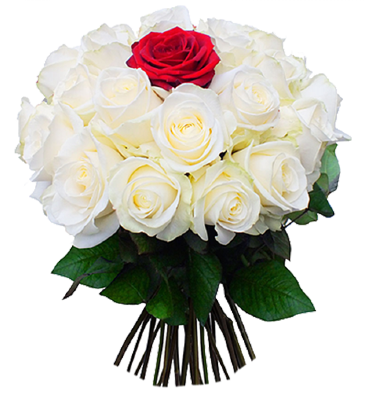 Белые розы с 1 красной