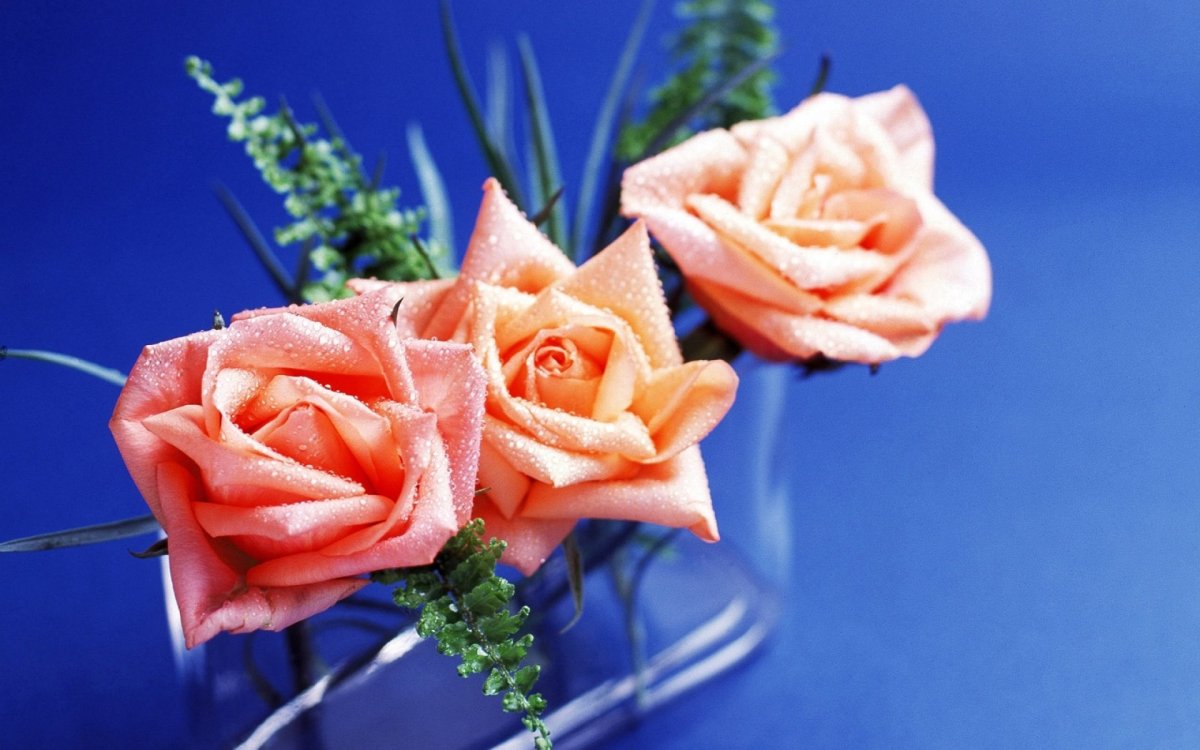 Композиция цветов на голубом фоне