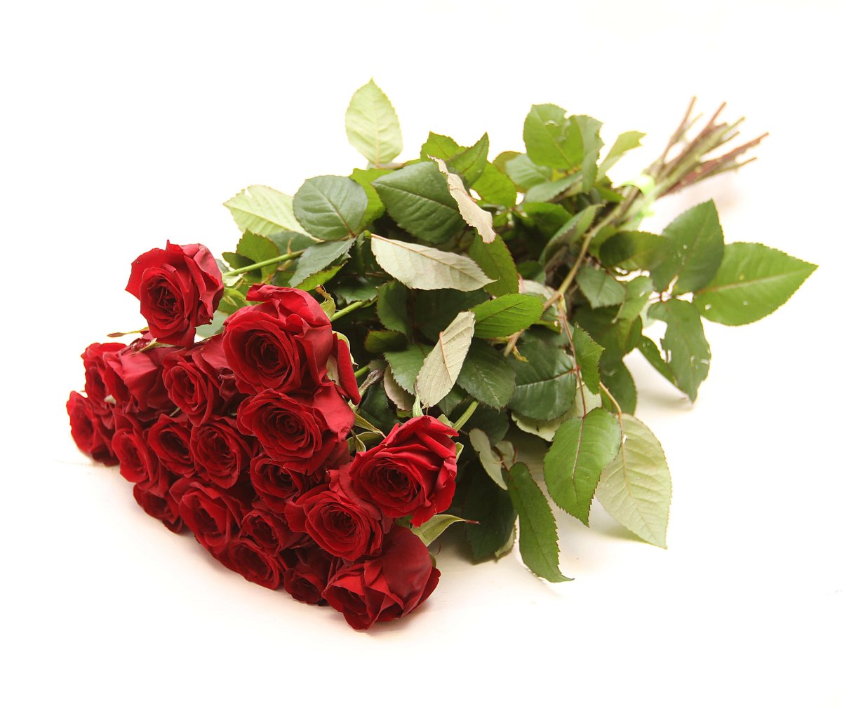 Букет красных роз