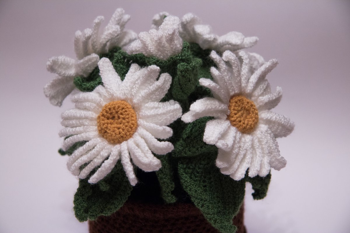 Ромашки в горшке связанные крючком
