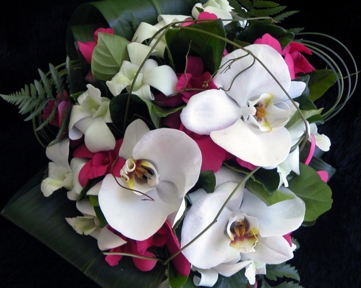 Альстромерия и Орхидея букет