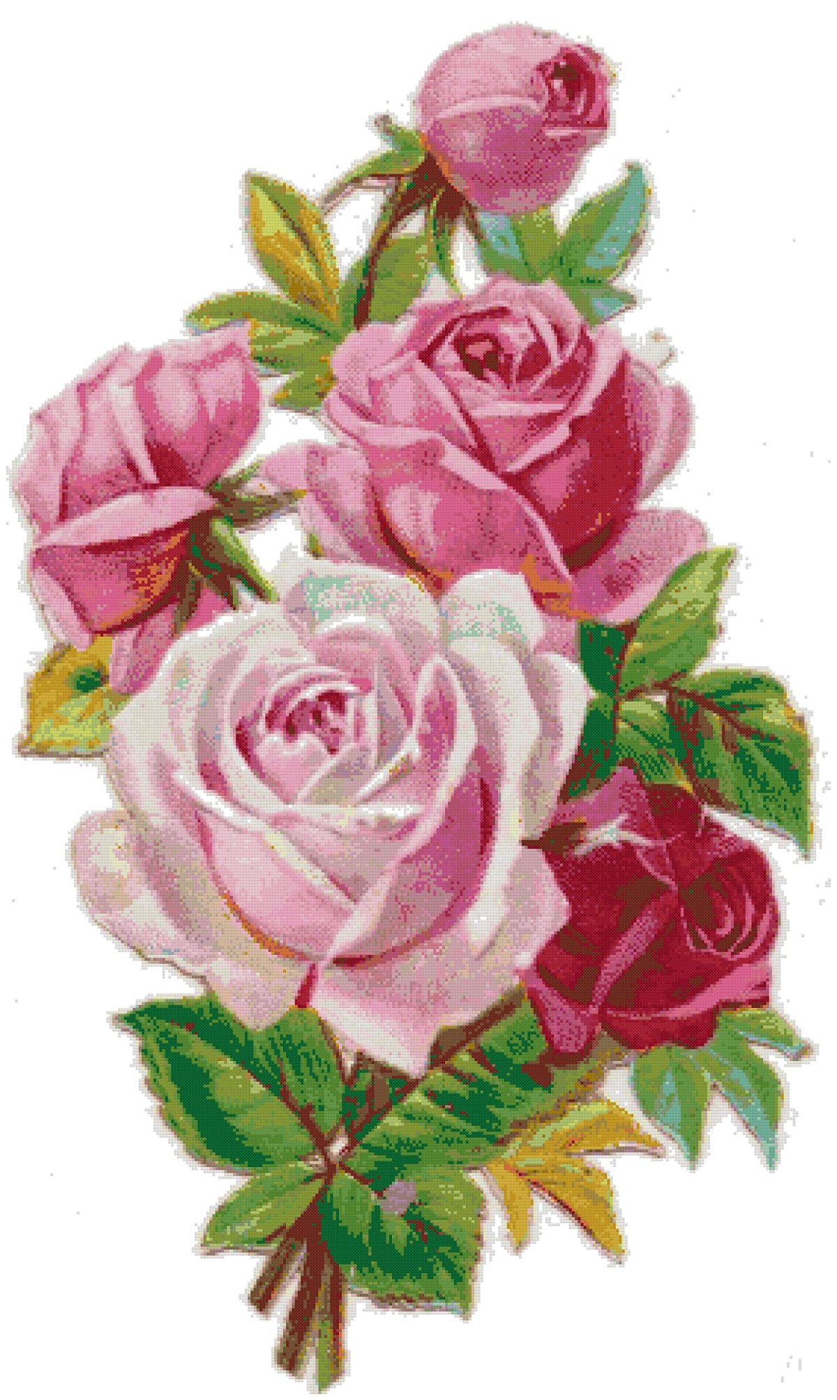 Тюльпаны акварелью