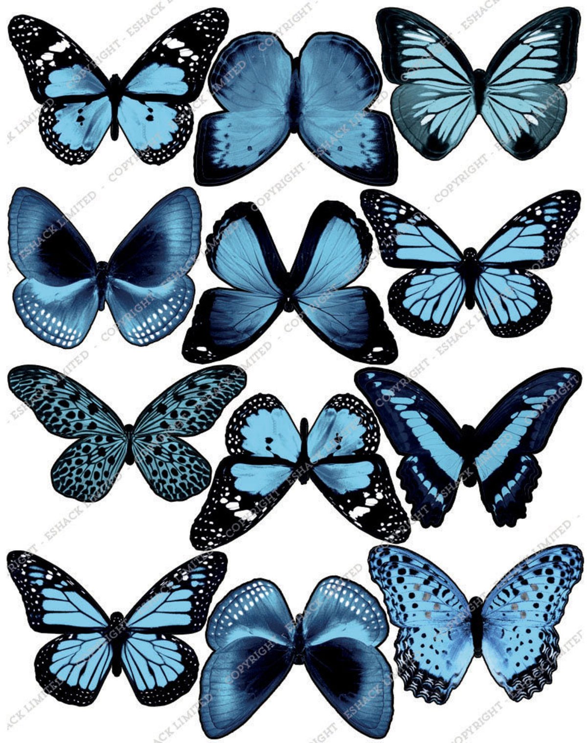 Бабочки серо голубые