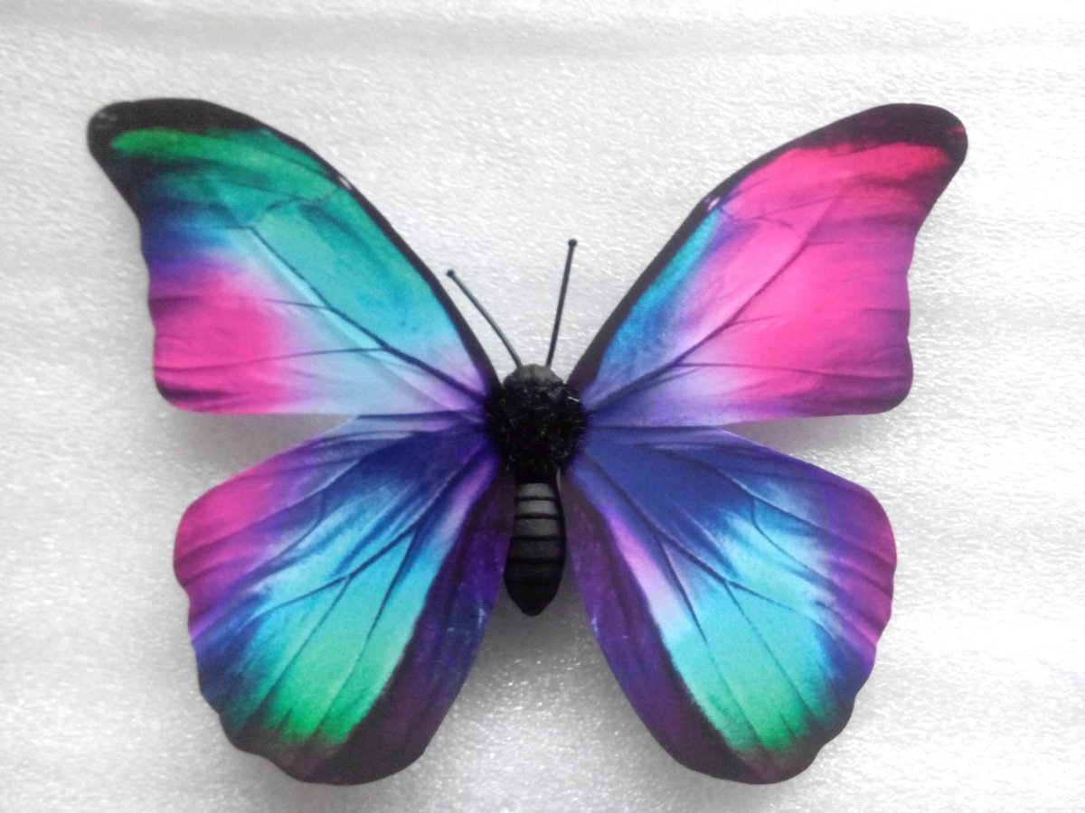 Бабочки на вафельной бумаге