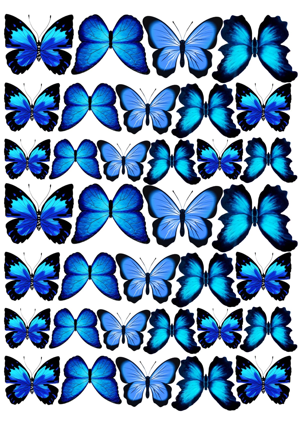 Бабочки цветные