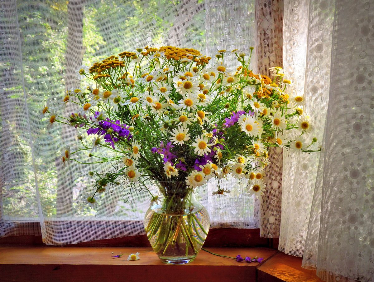 Полевые цветы в вазе