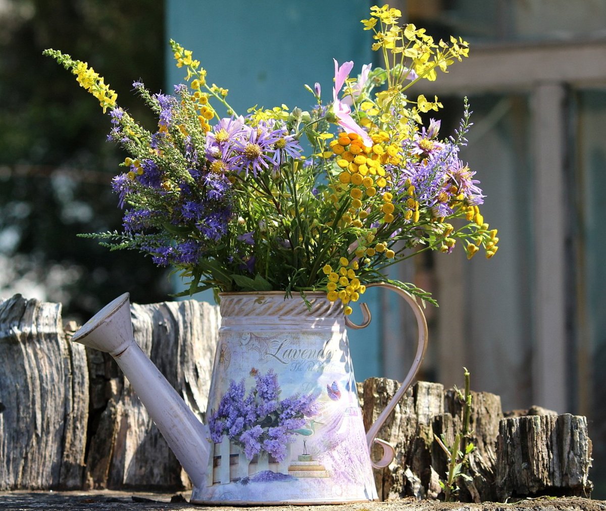 Полевые цветы