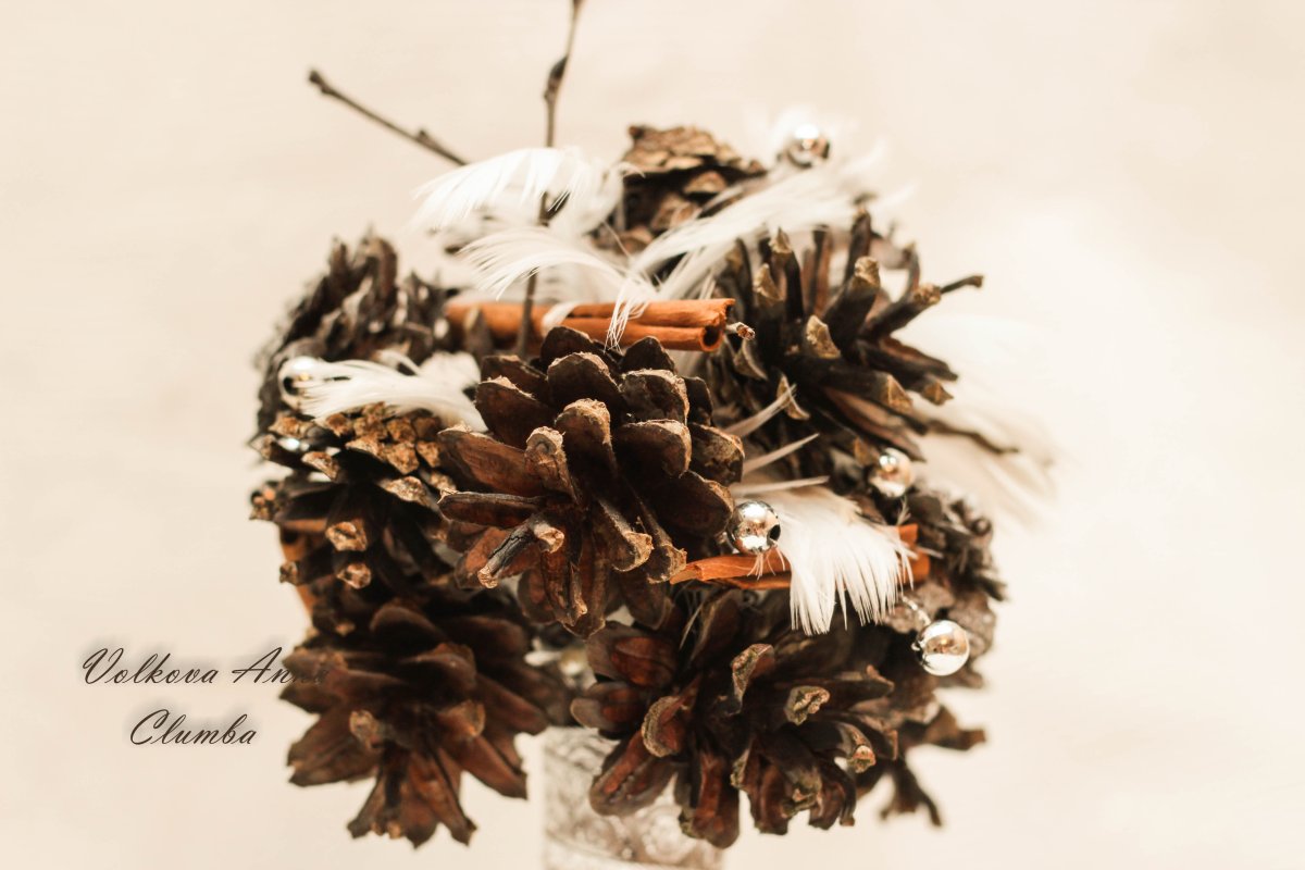Букет из шишек и перьев