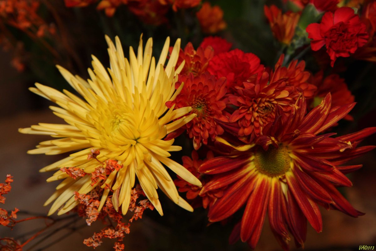 С днем рождения осенние цветы