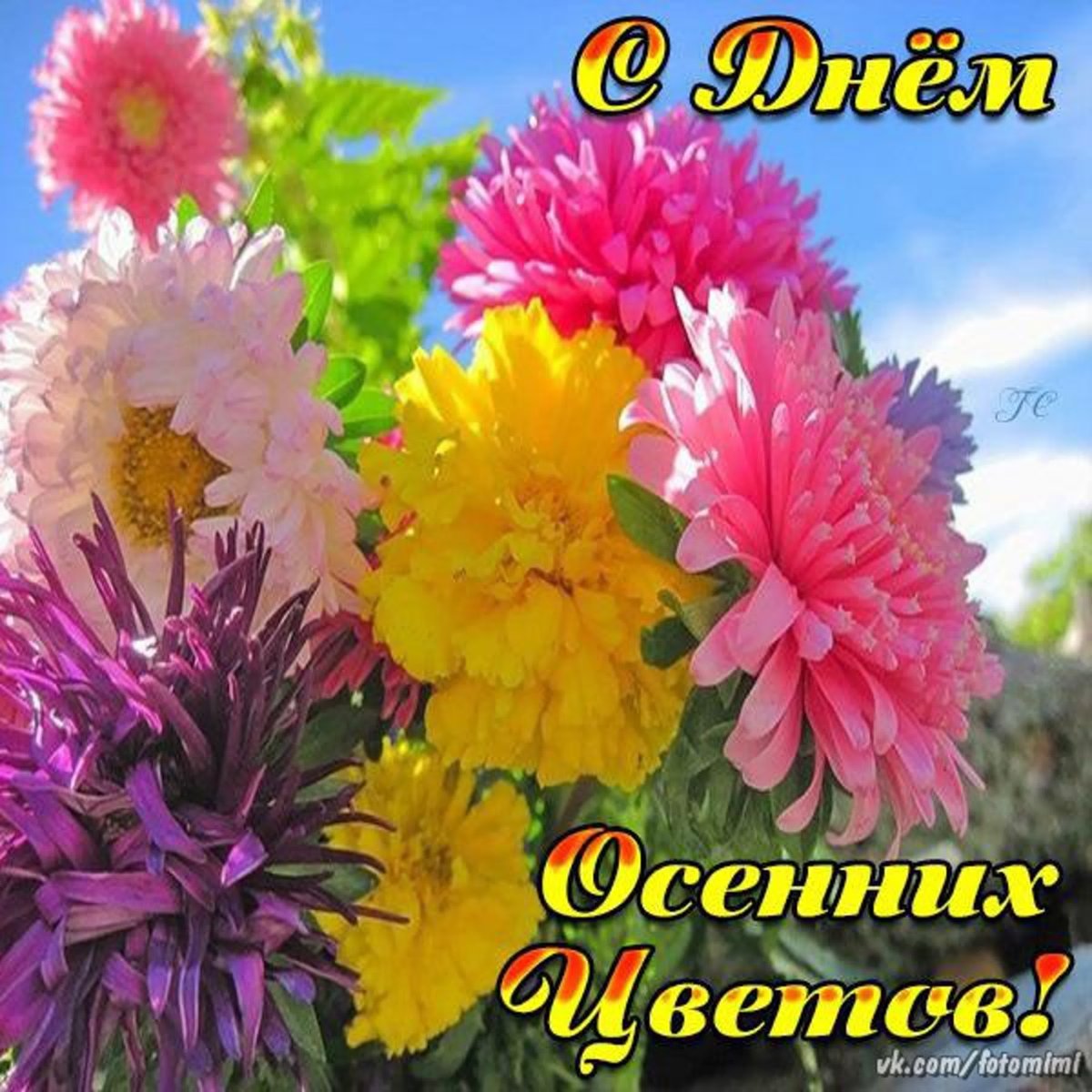 Осенние цветы с праздником