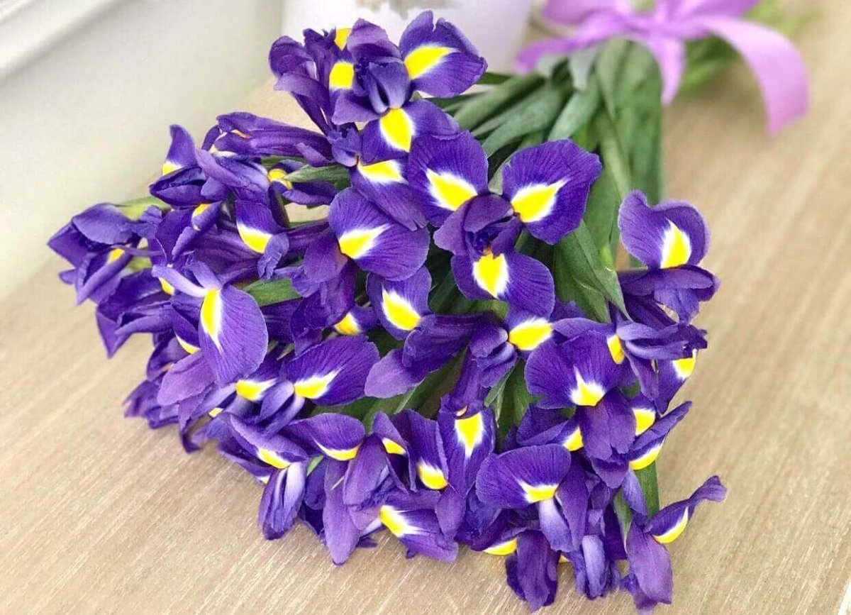 Ирис Блю Мэджик букет