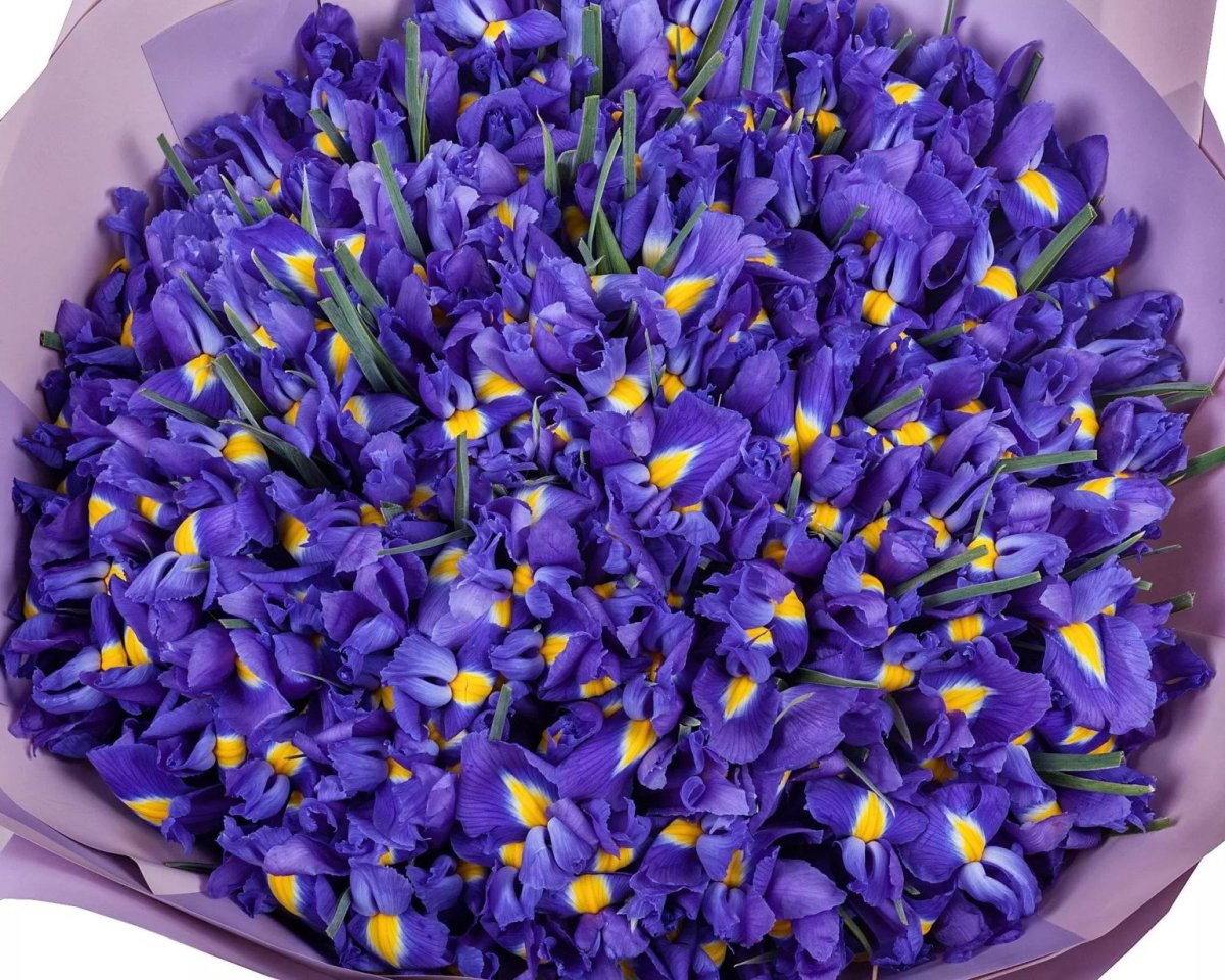 Букет из крупных ирисов