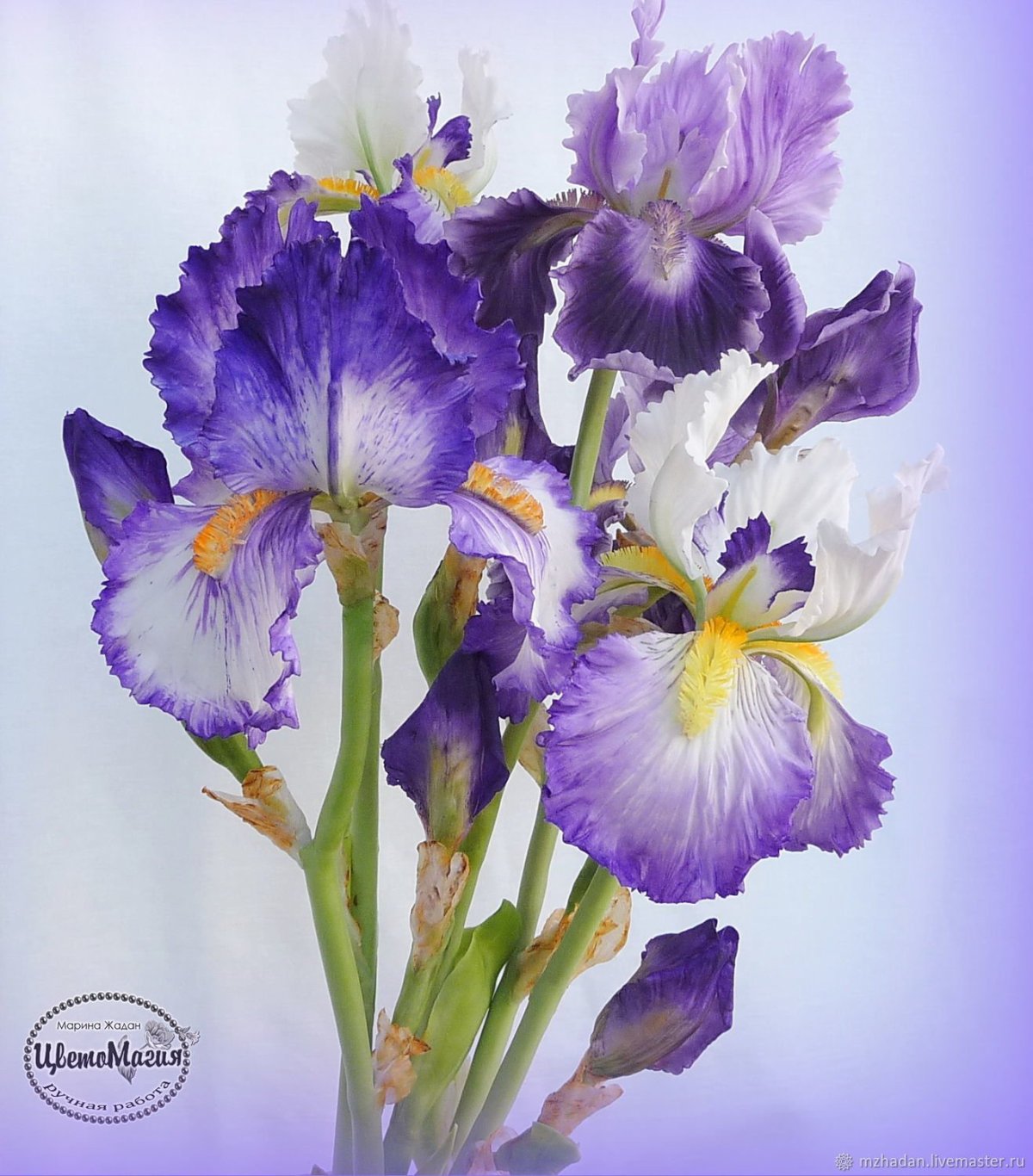 Ирисы бородатые букет