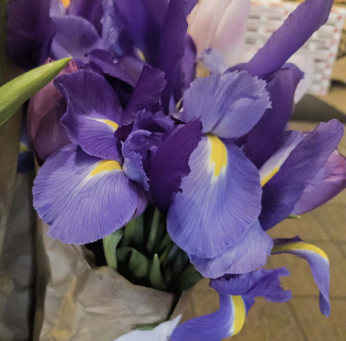 Пикассо желтые ирисы