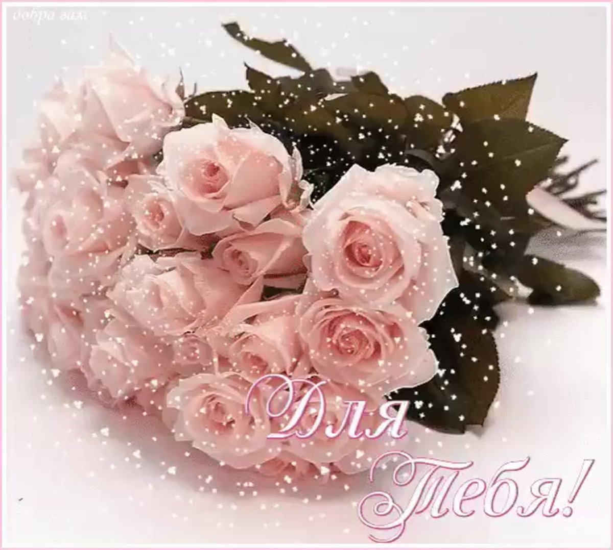 Нежные розы для тебя