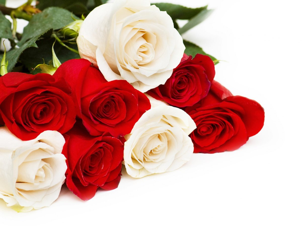 С днём рождения Зухра