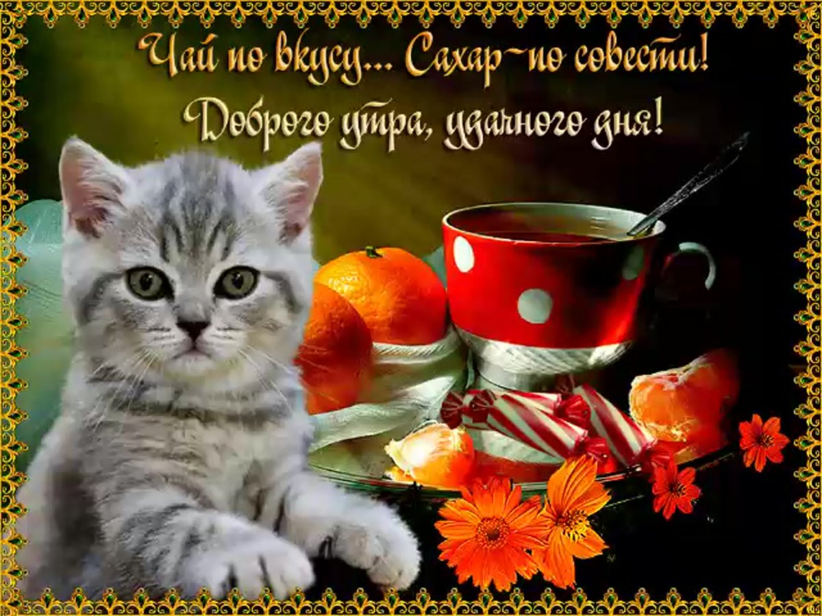 Пожелания доброго утра и хорошего дня