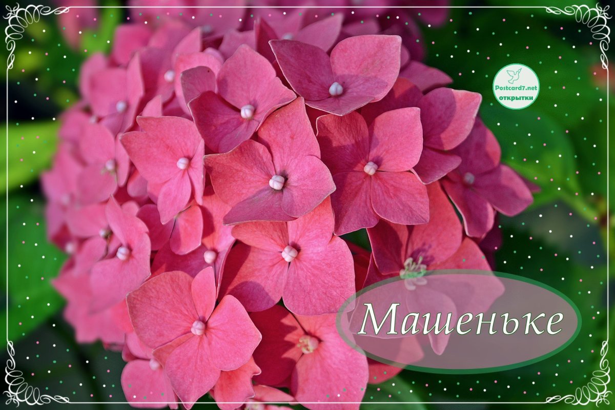 С днём рождения Машенька