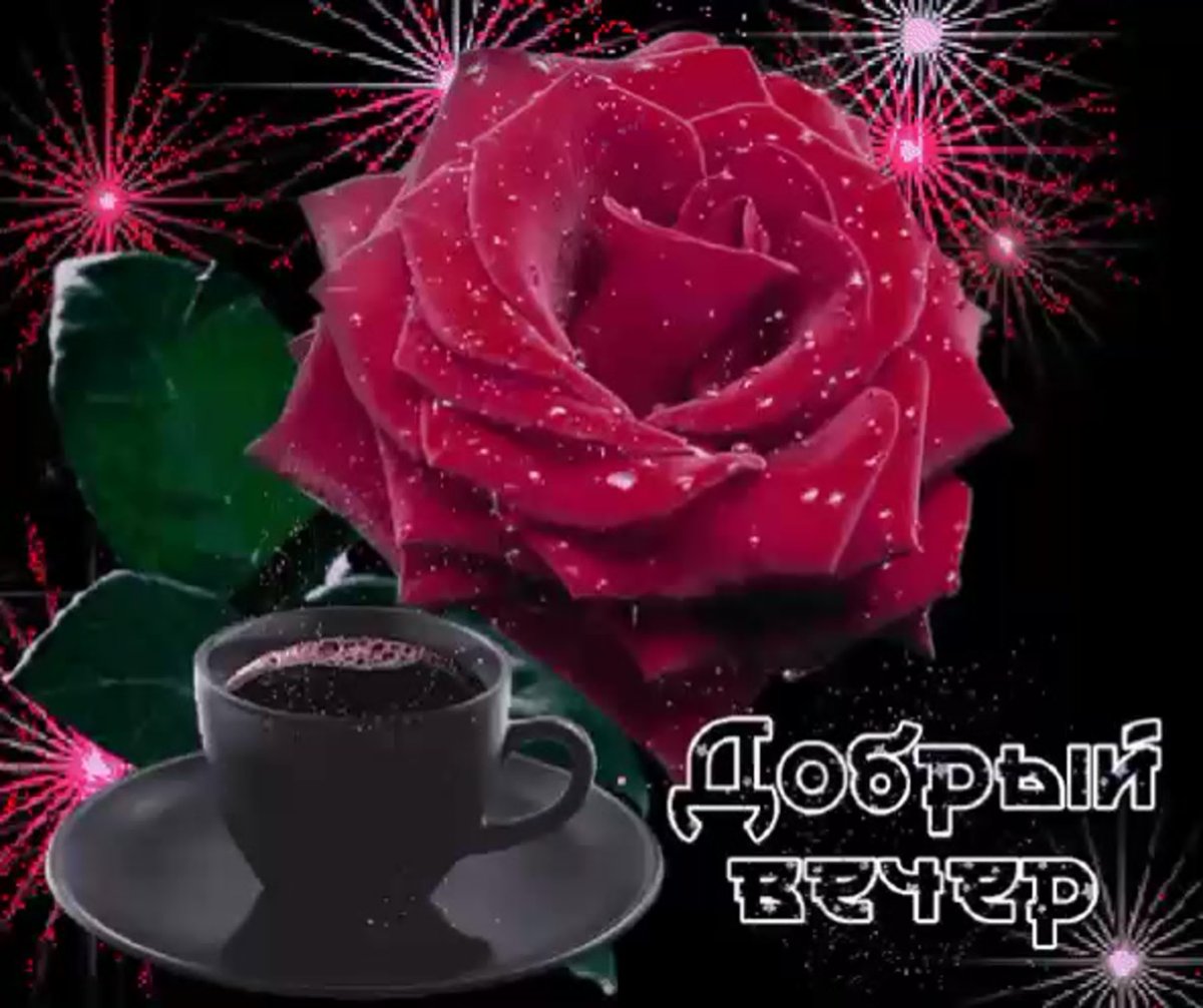 Доброй ночи