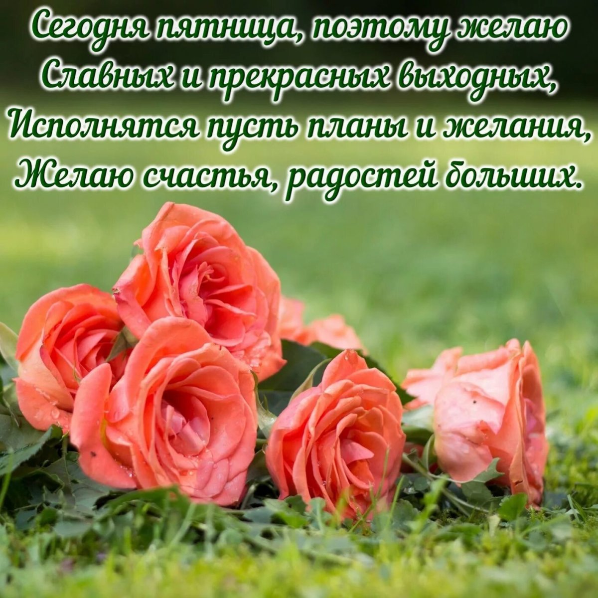 Поздравление с пятницей прикольные