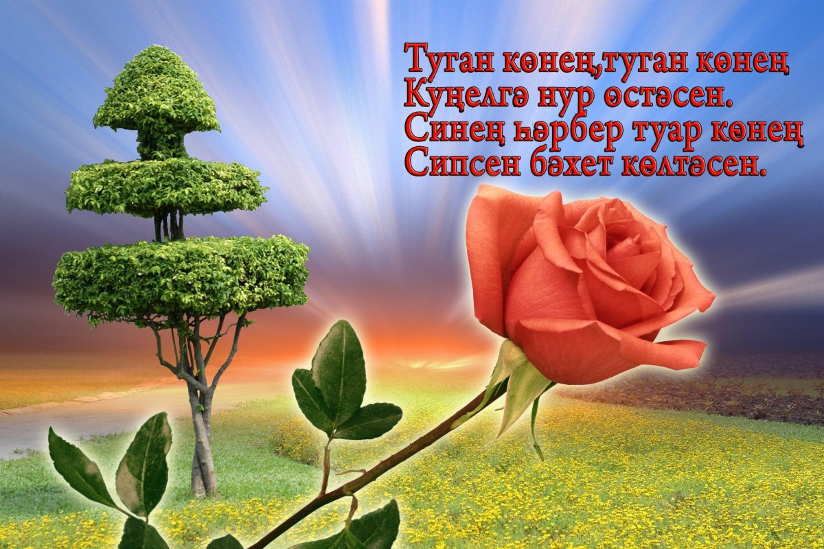 С днём рождения мужчине на татарском языке