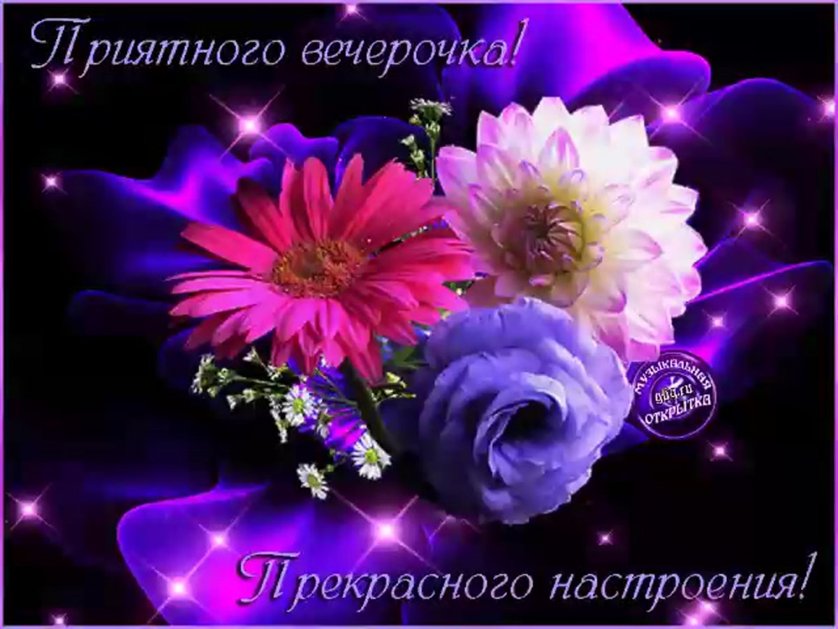 Хороший вечер