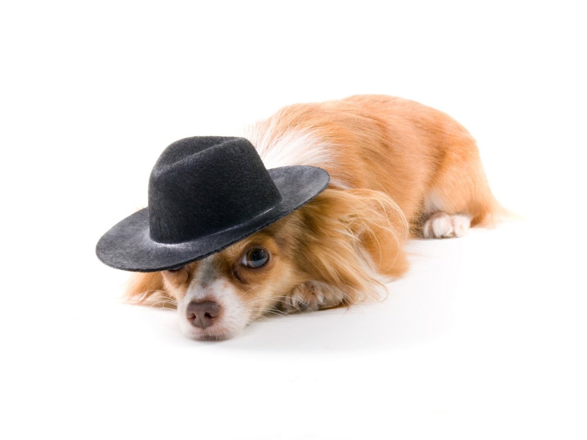 Картинки со словом пожалуйста