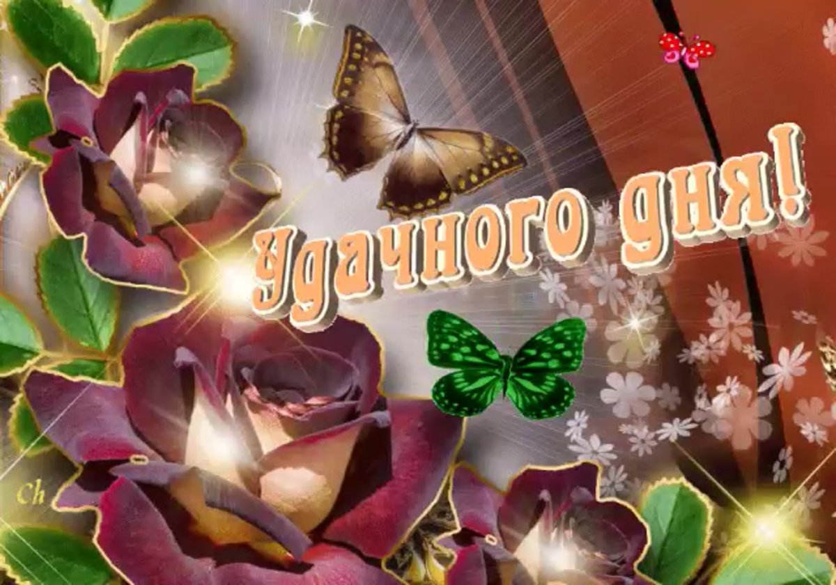 Анимашки спасибо