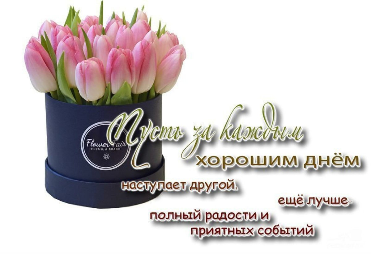 Спасибо Тоня