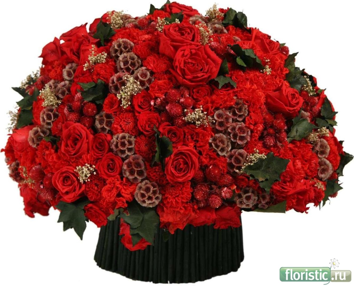 Поздравление с днём рождения людми