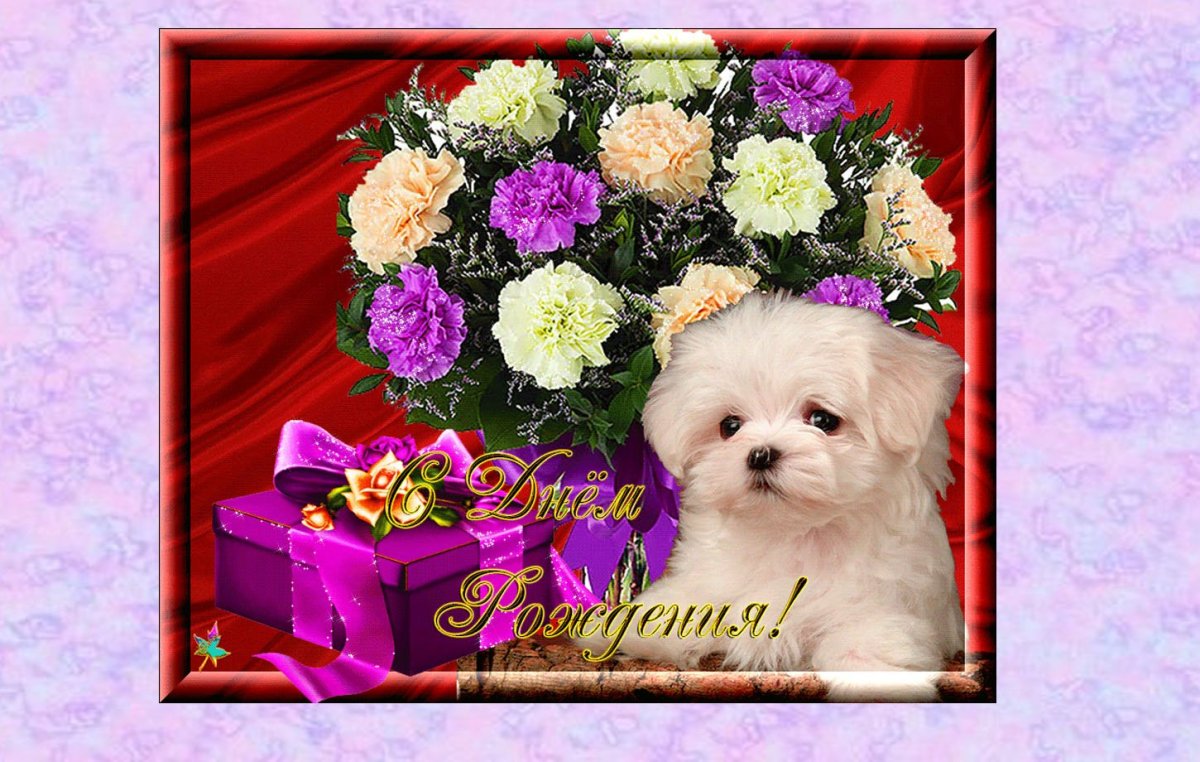 С днём рождения Людмила