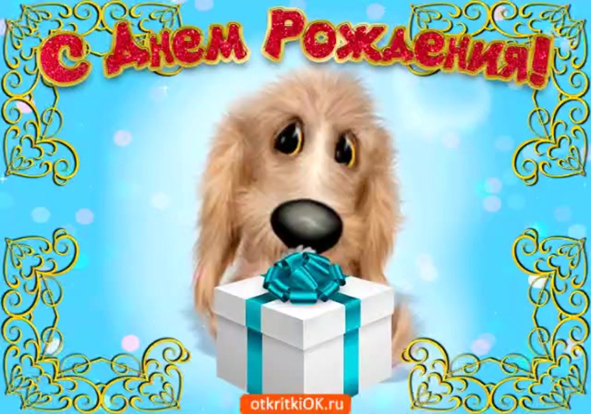 Поздравления с днём рождения картинки красивые
