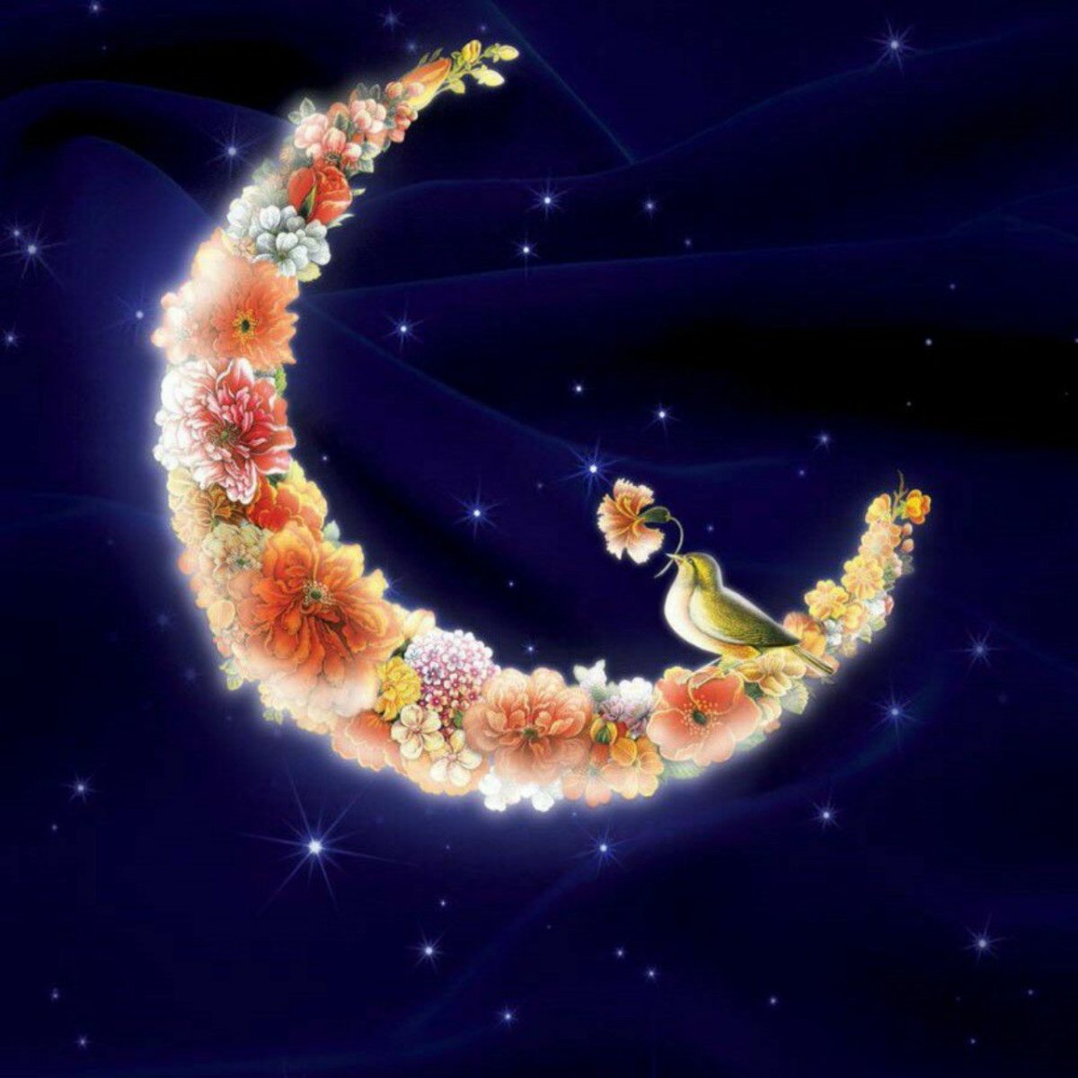 Спокойной ночи гифки