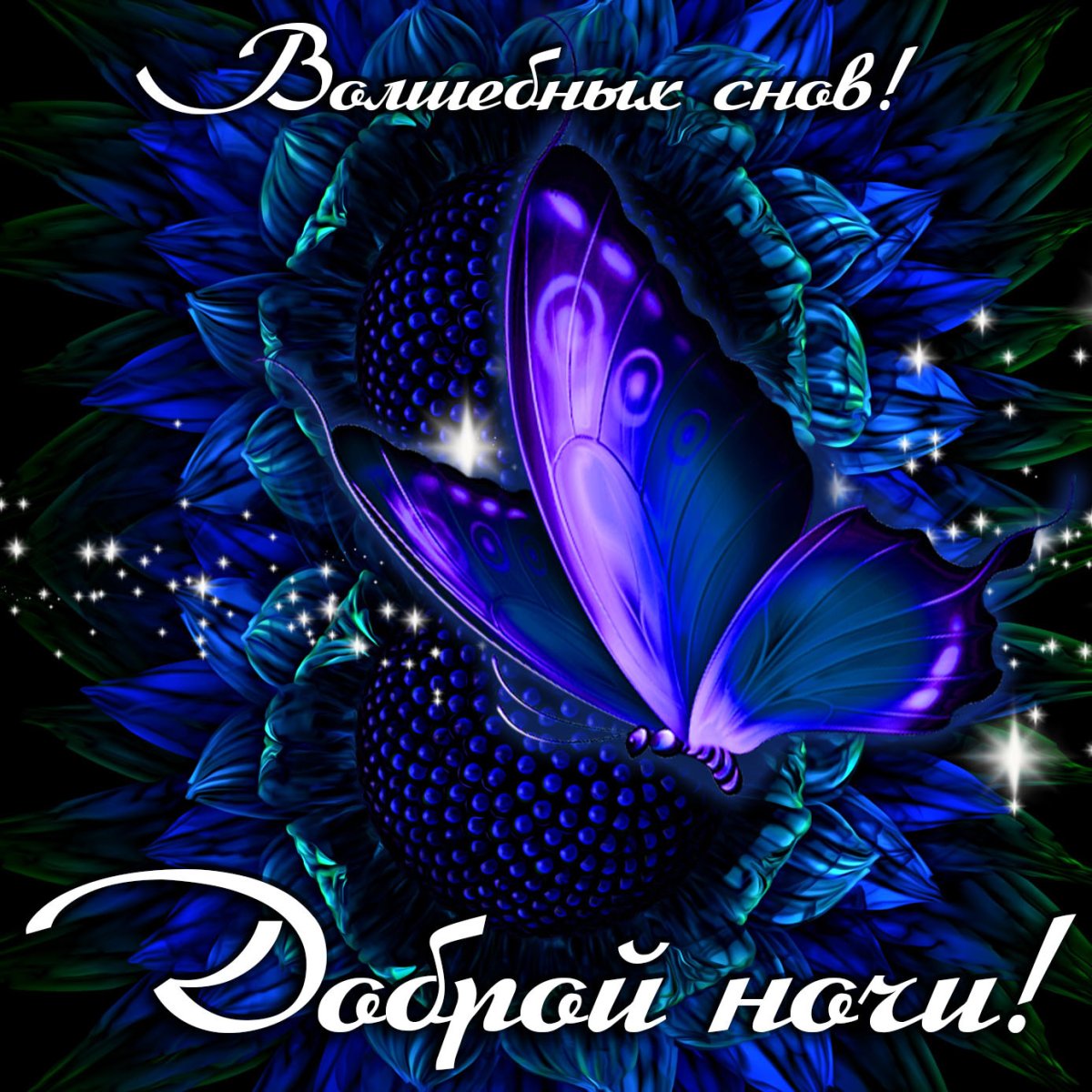 Спокойной ночи приятных снов