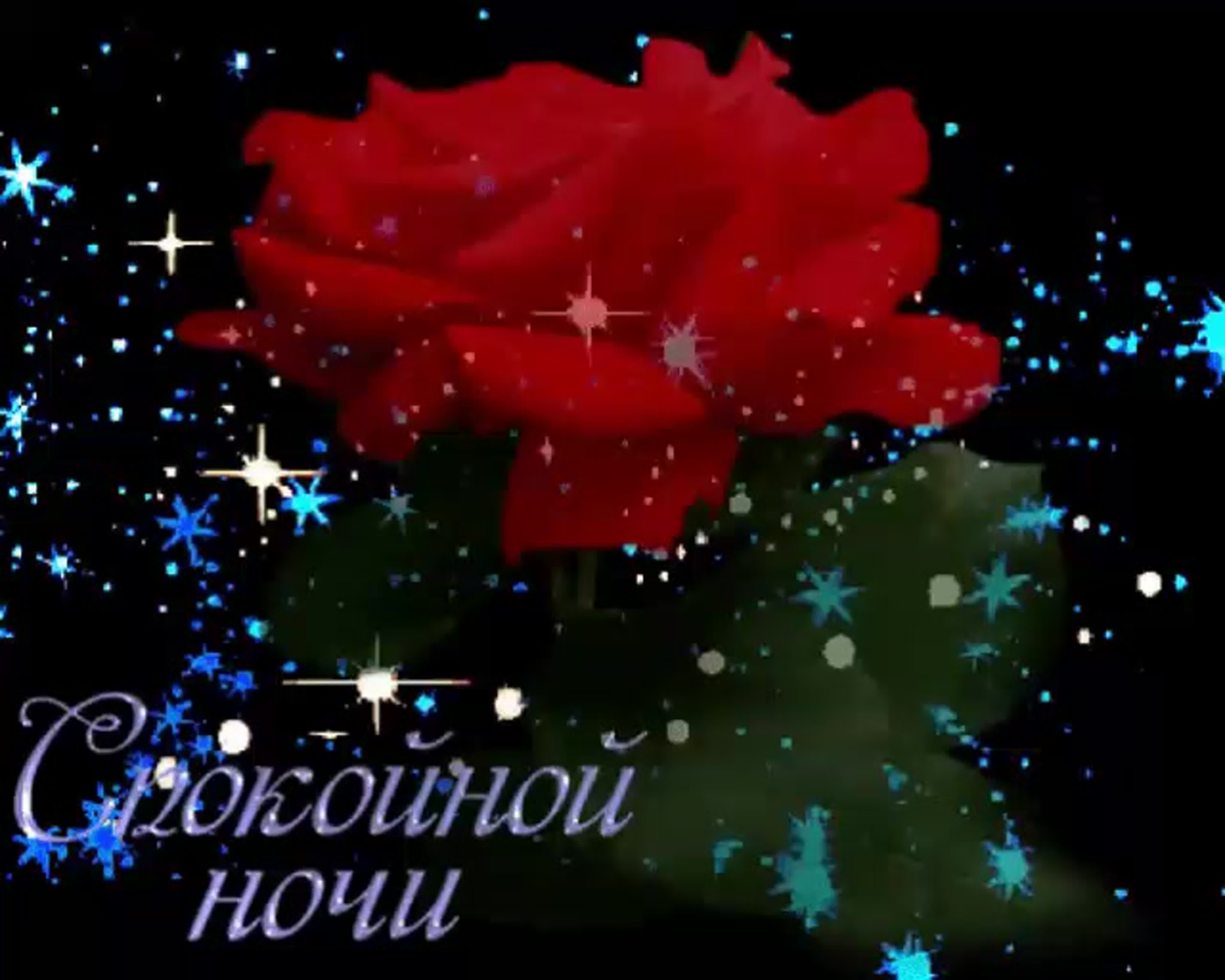 Пожелание спокойной ночи цветами. Прекрасная ночь. Пожелания доброй ночи. Спокойной ночи с цветами. Открытки доброй ночи.