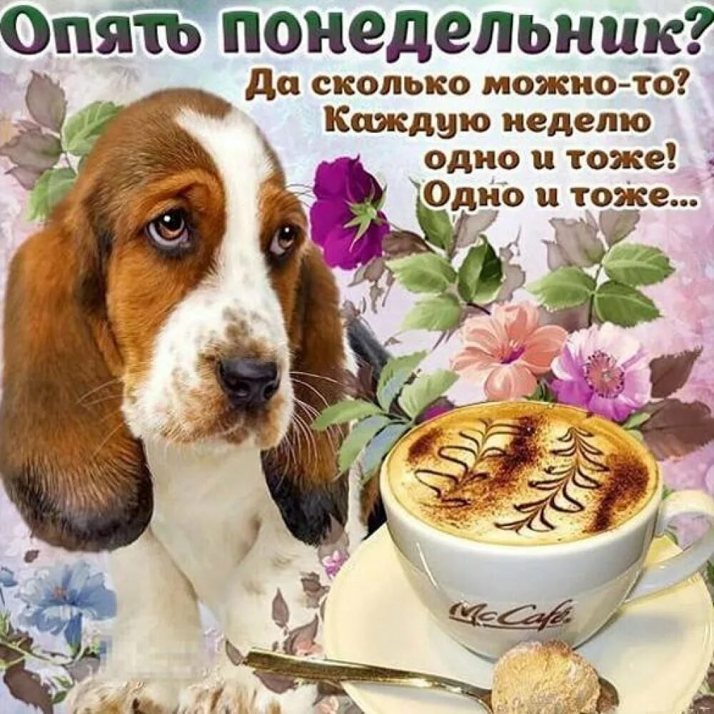 Поздравление с началом недели с понедельником