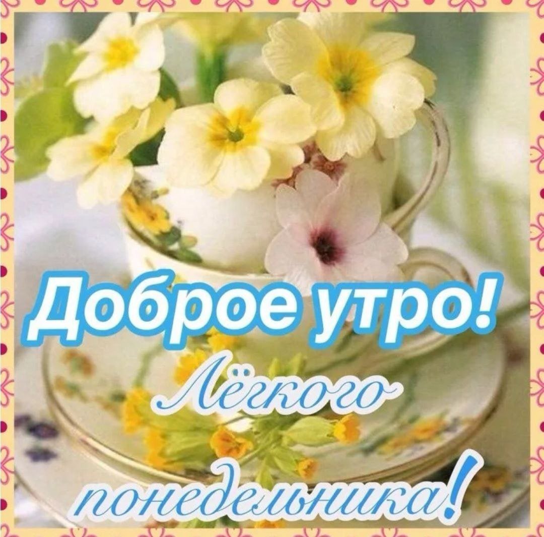 Красивое поздравление с понедельником