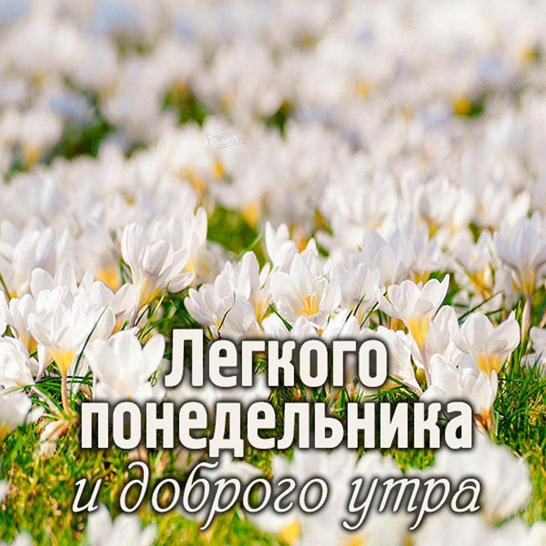 С добрым утром понедельника и удачной недели