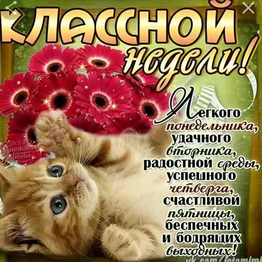 Хорошего вторника и удачной недели