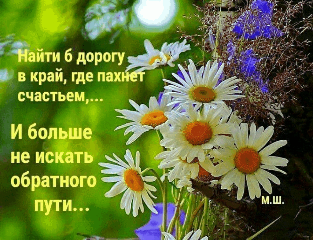 Пожелание здоровья и душевного спокойствия