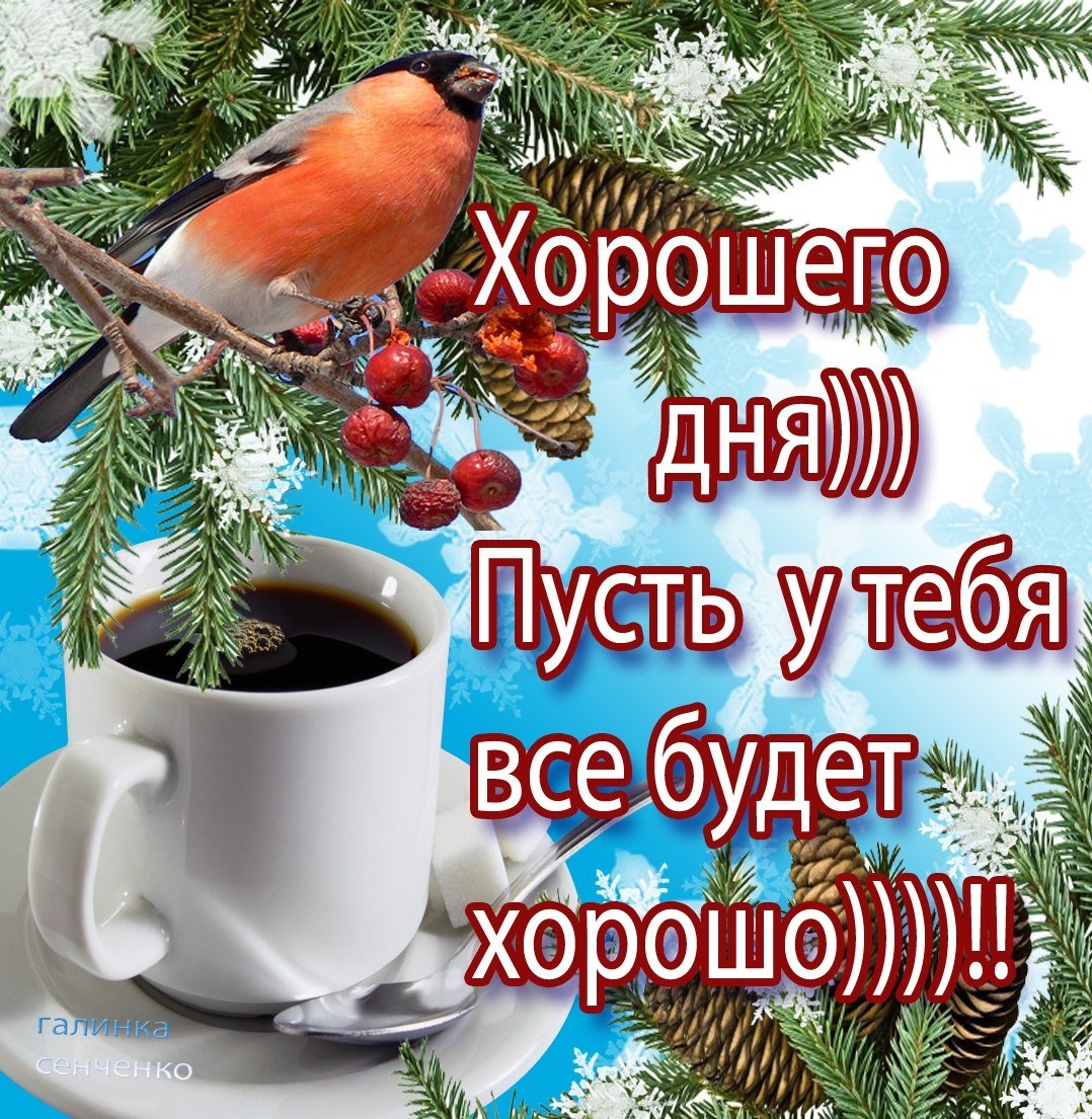 Открытка доброго морозного дня